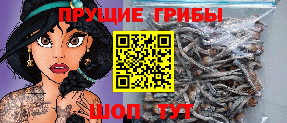 Галлюциногенные грибы Magic Shrooms  Вход с VPN  Орехово-Зуево 